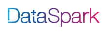 DataSpark Analytics